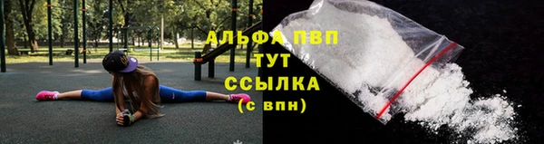 ECSTASY Беломорск